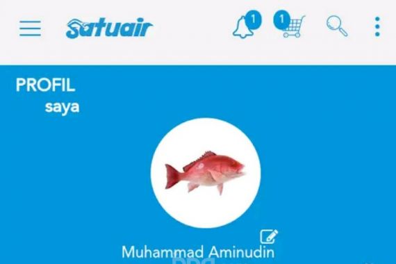Aplikasi Satuair, Tempat Berkumpul Online Pencinta Ikan Hias - JPNN.COM