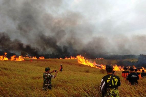 Diduga akibat Puntung Rokok, 100 Hektare Lahan Ilalang Ludes Terbakar - JPNN.COM