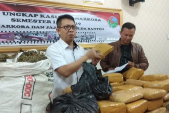 Polda Banten Amankan 82 Kg Ganja dari Lima Bandar - JPNN.COM