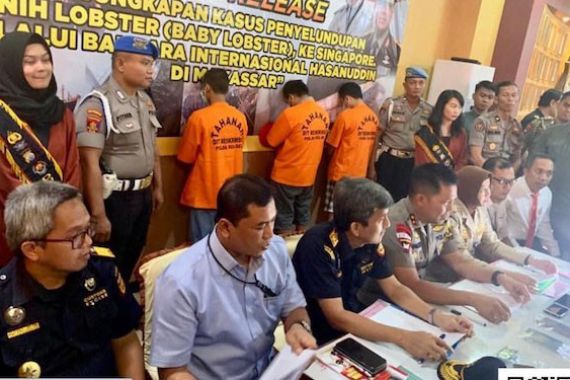 Bea Cukai Makassar Gagalkan Penyelundupan 19 Ribu Bayi Lobster - JPNN.COM