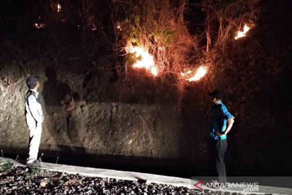 Ratusan Hektare Lahan Cengkih dan Karet Terbakar - JPNN.COM