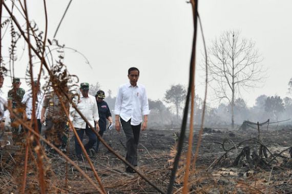Blusukan ke Lokasi Karhutla Tanpa Mengenakan Masker, Jokowi: Besar Sekali - JPNN.COM