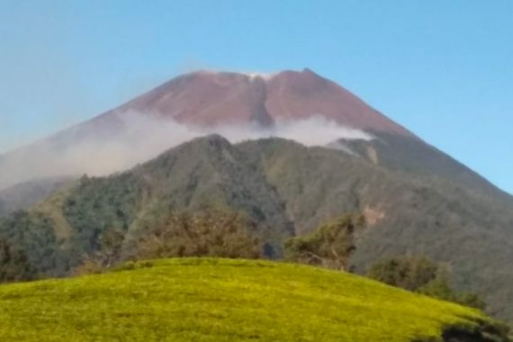 Folu Net Sink 2030 Program Andalan Indonesia Atasi Perubahan Iklim - JPNN.COM