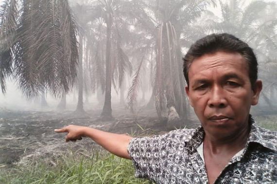 Puluhan Hektare Kebun Sawit di Labuhanbatu Terbakar - JPNN.COM
