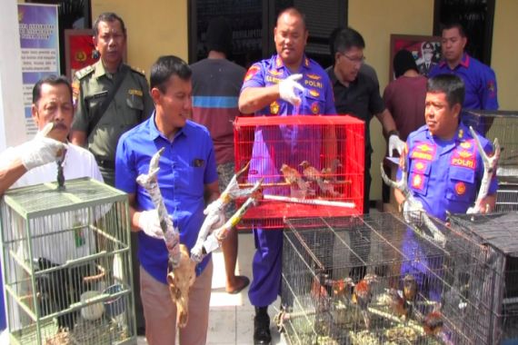 Gagalkan Penyelundupan Ratusan Burung Langka dari Papua - JPNN.COM
