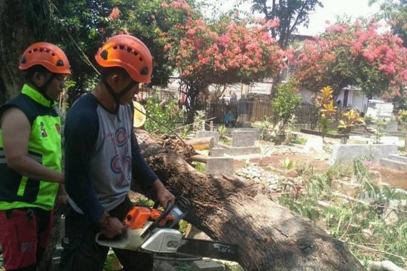 Puluhan Makam di Bogor Tertimpa Pohon Petai - JPNN.COM