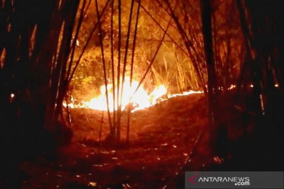 Lahan Gunung Lagadar Bandung Terbakar - JPNN.COM