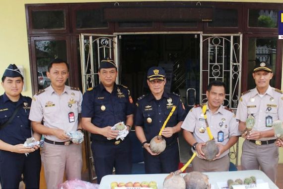 Penyelundupan Tanaman Melalui Teluk Nibung Berhasil Digagalkan - JPNN.COM