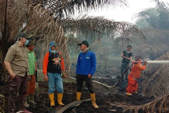 Wakil Bupati PALI Mendadak Tinjau Lokasi Karhutla di Abab - JPNN.COM