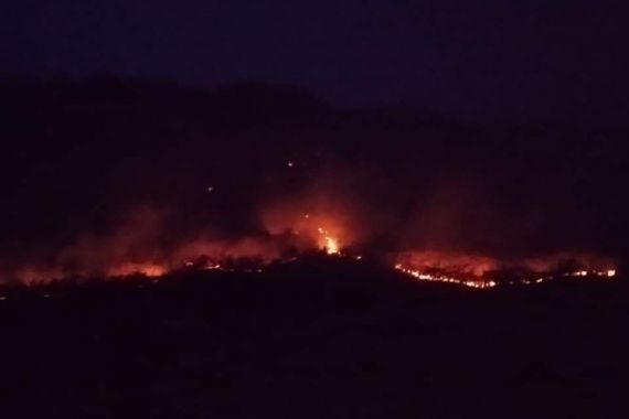Hutan Gunung Solasih Diduga Sengaja Dibakar - JPNN.COM
