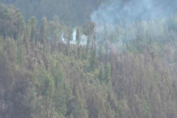 Kawasan Hutan di Gunung Semeru Terbakar Lagi - JPNN.COM