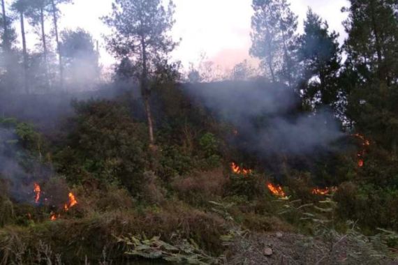 Hutan di Gunung Merapi Terbakar - JPNN.COM