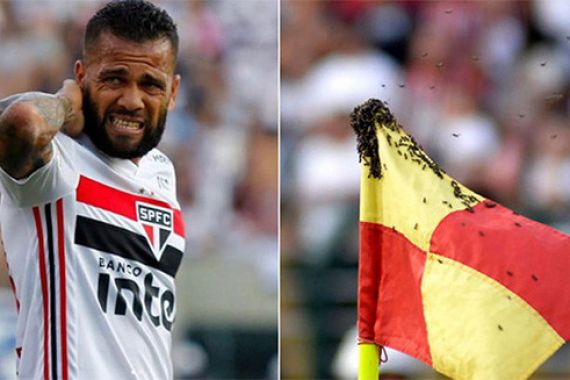 Dani Alves Diserang Tawon, Pertandingan Sempat Dihentikan - JPNN.COM