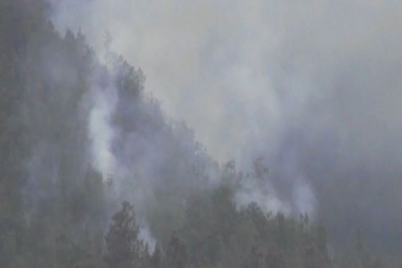 Hutan Gunung Semeru Terbakar Kena Guguran Lava - JPNN.COM