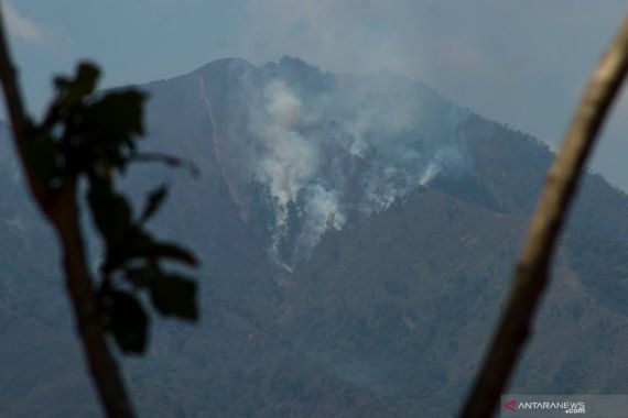 Kebakaran di Pegunungan Malabar Bandung Makin Meluas - JPNN.COM