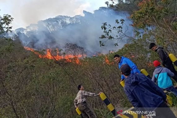 Kebakaran Hutan Gunung Papandayan Garut Berhasil Dijinakkan - JPNN.COM