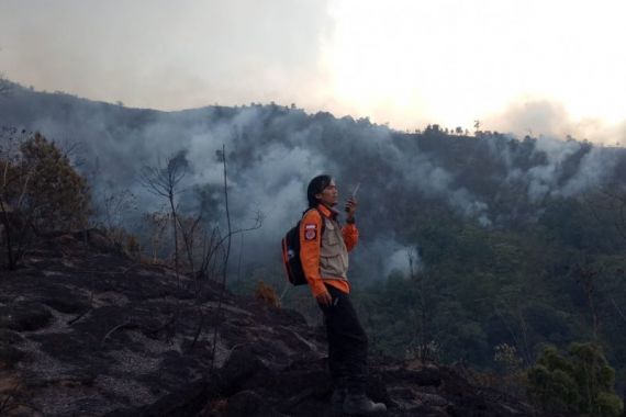 Kebakaran Lahan di Kabupaten Bandung Mencapai 226 Hektare - JPNN.COM