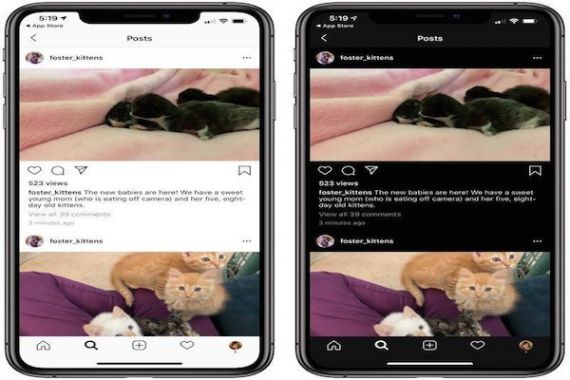 Setelah Android, Instagram Akan Hadirkan Fitur Dark Mode di iOS - JPNN.COM