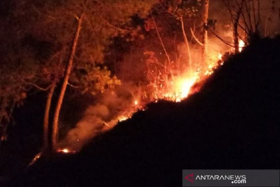 Perhutani Diminta Tanggung Jawab Dampak Kebakaran Hutan Cikuray Garut - JPNN.COM