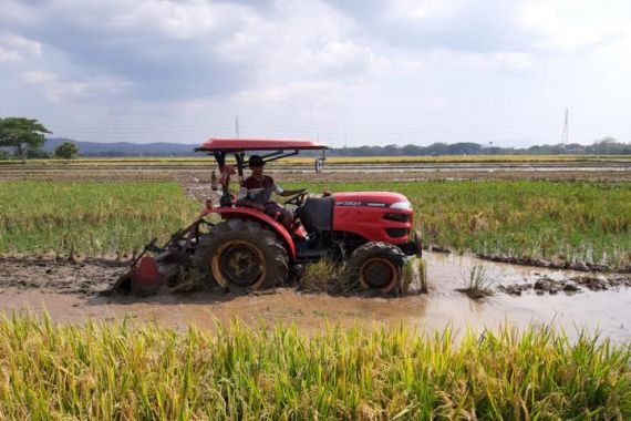 Pak Jokowi, Pilih Mentan yang Mampu Mewujudkan Swasembada Pangan - JPNN.COM