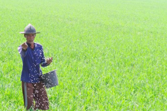 Petani Diimbau Manfaatkan Asuransi Pertanian - JPNN.COM