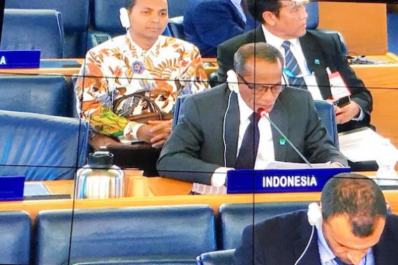 Pertemuan ke-46 CFS, Indonesia Berbagi Pengalaman Mencapai Ketahanan Pangan - JPNN.COM