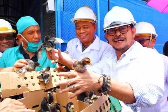 Mentan SYL Dorong Pembibitan Ayam Kampung Berbasis Pemberdayaan Masyarakat - JPNN.COM