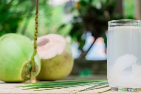 5 Khasiat Minum Air Kelapa Setiap Hari, Bikin Penyakit Ini Ogah Mendekat - JPNN.COM