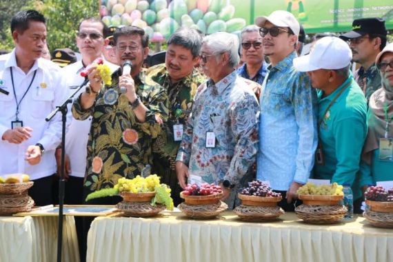 Mentan Syahrul Dukung Pengembangan dan Ekspor Buah Indonesia - JPNN.COM