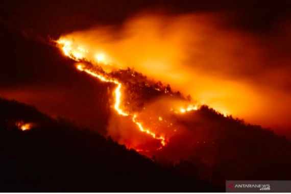 Hutan di Lereng Gunung Lawu Terbakar, Dilarang Lewat Jalur Pendakian - JPNN.COM