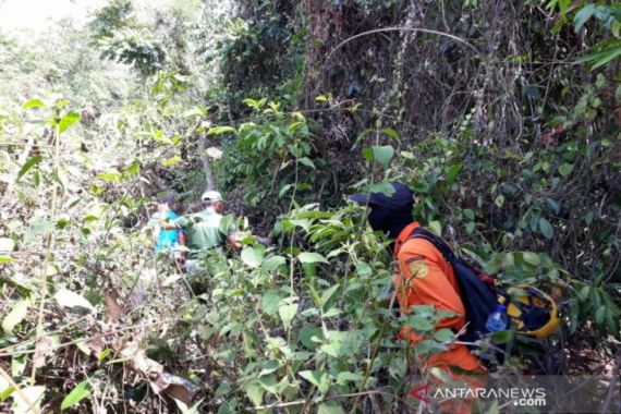 Sudah Tiga Hari Mbah Markiyem Hilang di Hutan - JPNN.COM