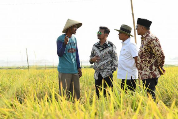 Kementan Bangun Kekuatan SDM Pertanian Demi Wujudkan Visi Indonesia Maju - JPNN.COM
