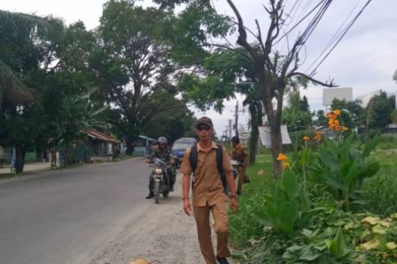 Masih Ada yang Nekat Buang Bangkai Babi di Pinggir Jalan - JPNN.COM