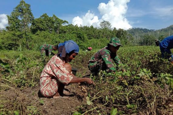 Satgas Yonif RK 136 Ajari Penduduk Suku Mausu Ane Tentang Cara Mengolah Lahan Kosong - JPNN.COM