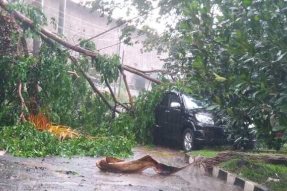 Bruk, Dua Mobil Remuk Tertimpa Pohon di Halaman Dishub Bogor - JPNN.COM