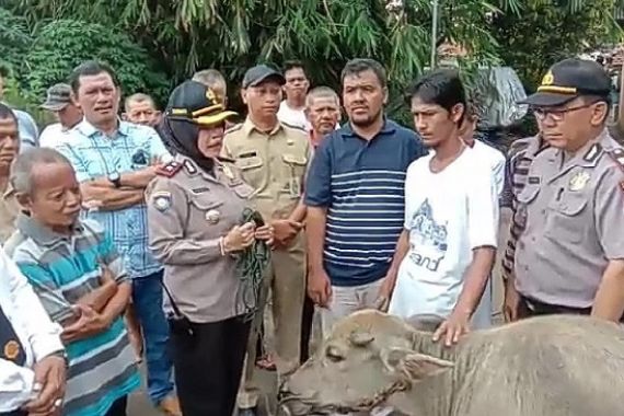 Sindikat Pencuri Kerbau di Kota Bogor Digulung Polisi - JPNN.COM