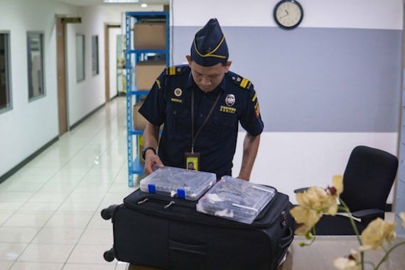 Bea Cukai Soekarno Hatta Gagalkan Penyelundupan 16 Ekor Kadal - JPNN.COM