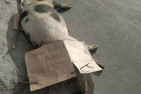 Ratusan Babi Mati Mendadak di Palembang - JPNN.COM