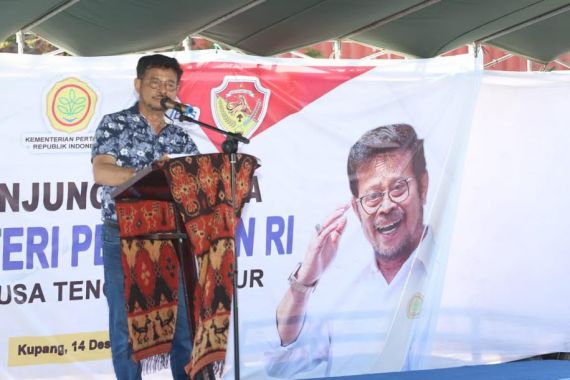 Kementan Bersama Pemda NTT Komitmen Perkuat Gratieks Komoditas Peternakan - JPNN.COM