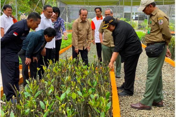 KLHK Bangun 120 Hektare Persemaian Modern di Lokasi Ibu Kota Negara Baru - JPNN.COM