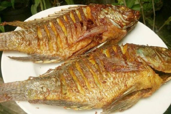 Ini Manfaat Kesehatan Makan Ikan Nila - JPNN.COM