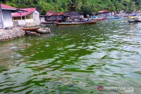 Mendadak Air Laut di Perairan Padang Berubah jadi Hijau - JPNN.COM