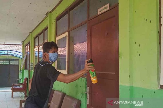 Sekolah Diteror Ulat Bulu - JPNN.COM