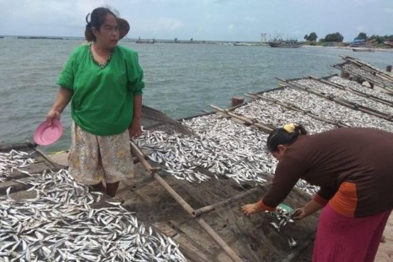 Setahun Pascatsunami, Ekonomi Nelayan Pandeglang Menggeliat - JPNN.COM