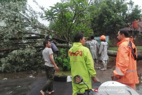 Bandung Dikepung Banjir dan Pohon Tumbang - JPNN.COM
