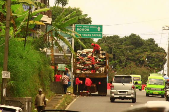 Puncak Bogor Dikepung Sampah Tahun Baru - JPNN.COM