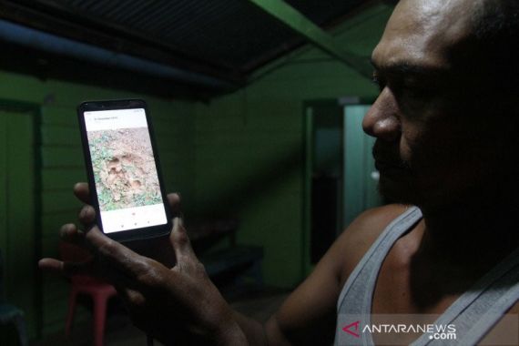 Warga Sinaboi Riau Resah Ternak Sering Hilang, Ternyata Pelakunya - JPNN.COM