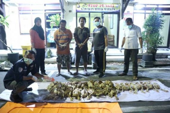 Polisi Bongkar Praktik Penjualan Bangkai Ayam di Blitar - JPNN.COM