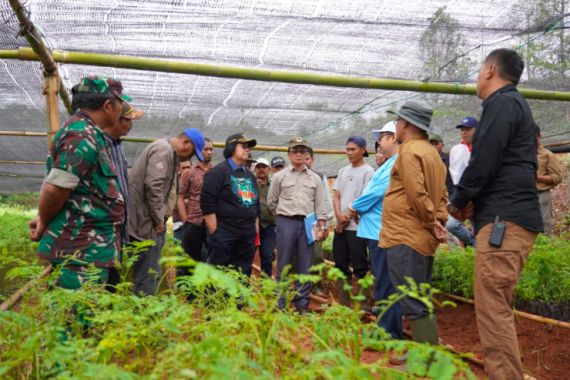 225 Kebun Bibit Desa Siap Hijaukan Bogor dan Lebak - JPNN.COM