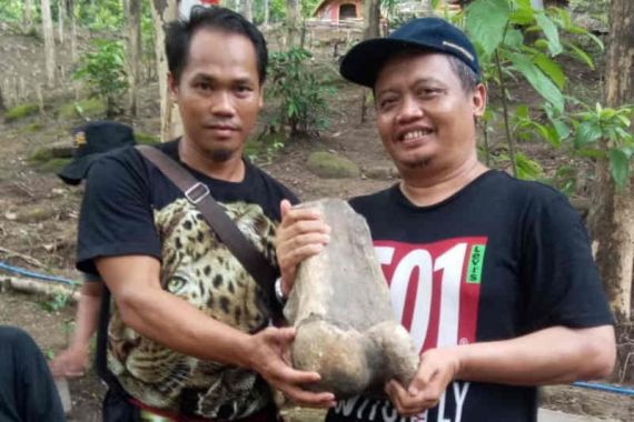 Heboh Penemuan Fosil Gajah Purba di Indramayu - JPNN.COM